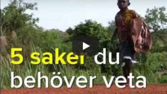 Fem fakta om Sydsudan.