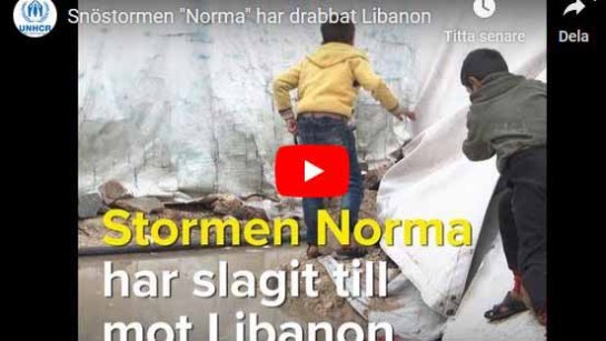 Stormen Norma drabbar Bekaadalen i Libanon