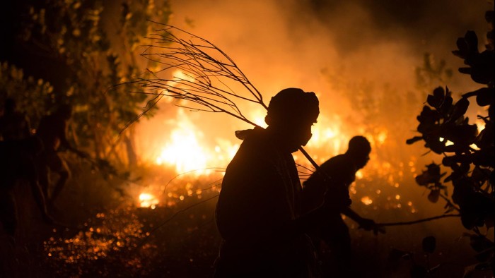 Flyktingar släcker en skogsbrand i Sahel.